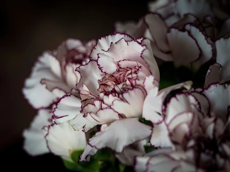 a bunch of white and purple flowers in a glass vase