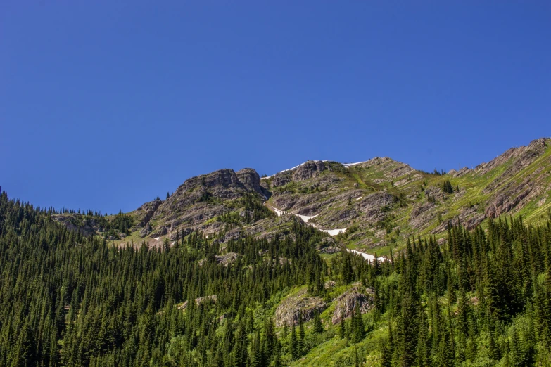 a clear, blue sky hangs over a mountain with trees growing in front of it