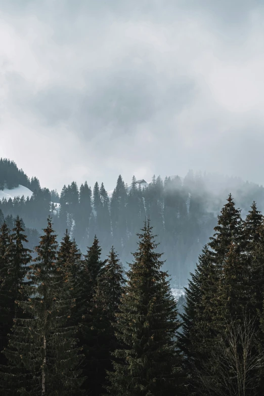 the mountains are covered in low lying fog