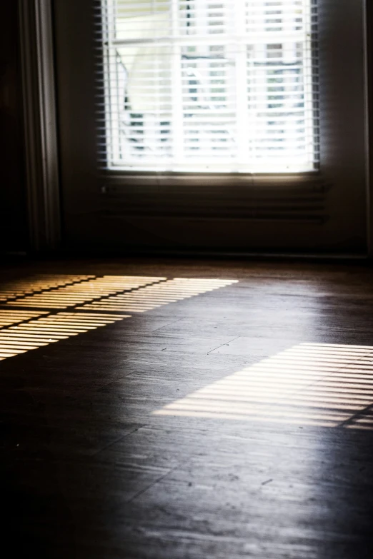 a cat standing on a hard wood floor in front of a window