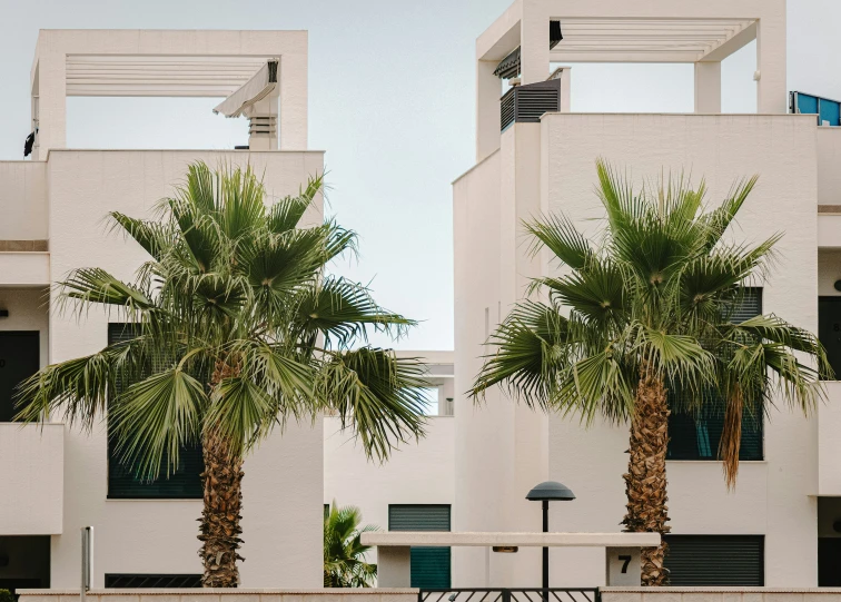 there are two palm trees by the front of a building