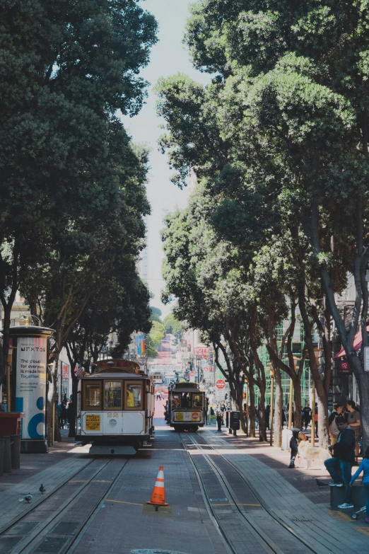 two trolleys are traveling down a narrow road