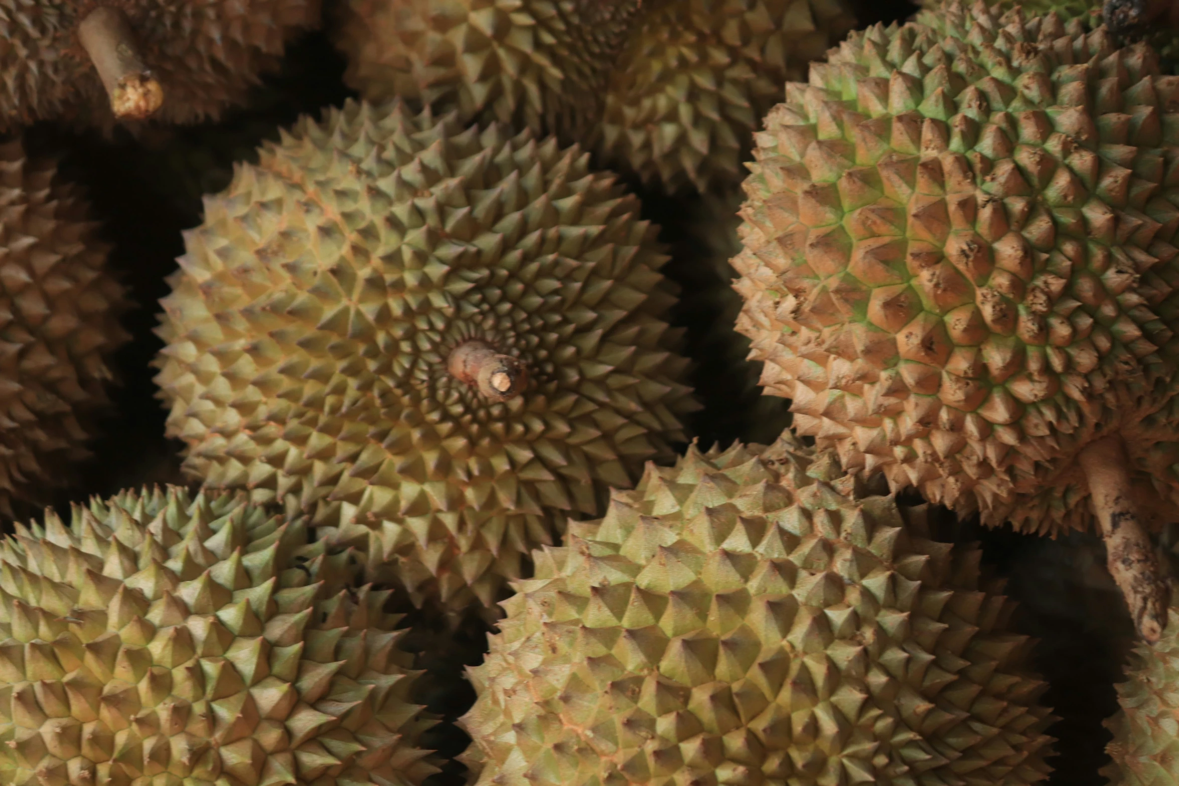 a lot of fruit are stacked up on the table