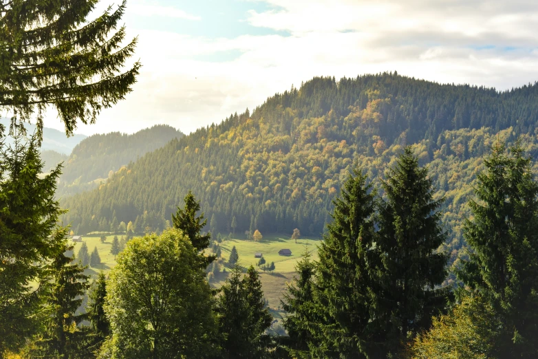 there are trees along the valley in front of the mountain