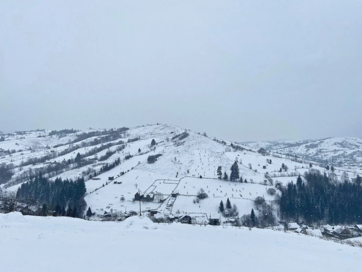 a view of a snowy ski slope with trees