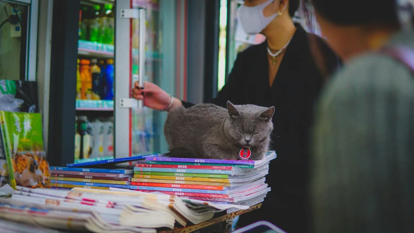 a cat in a pile of books in front of a man