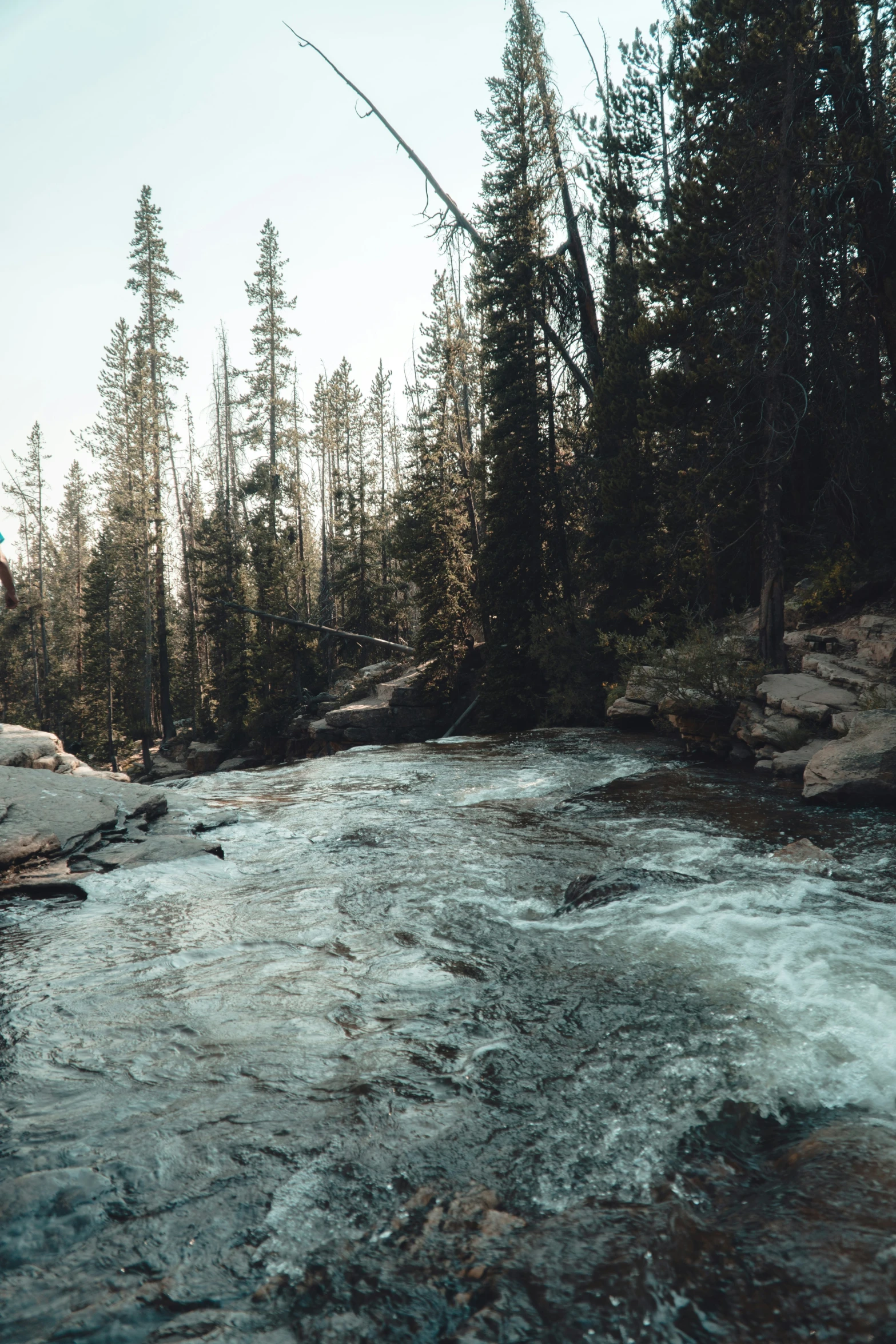 small stream that has some water flowing from it