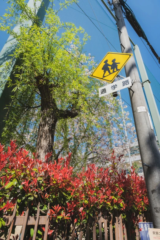 a yellow sign with some red leaves on the side