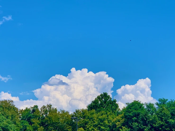 the po was taken from the ground of clouds and trees in the foreground