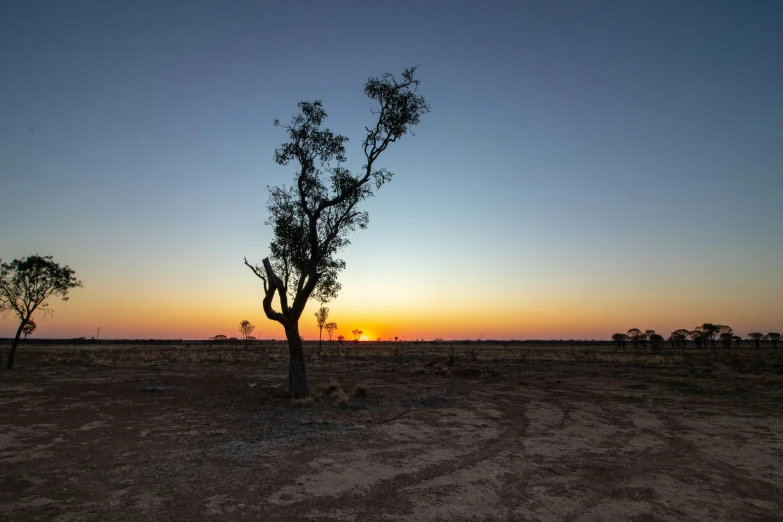 the sun sets over a barren field with trees in the foreground