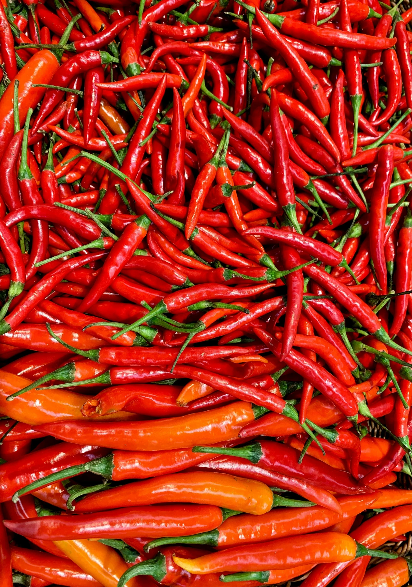 lots of  peppers, some being eaten by someone
