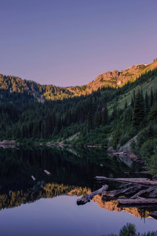 a tree covered hill with mountains in the background and the lake