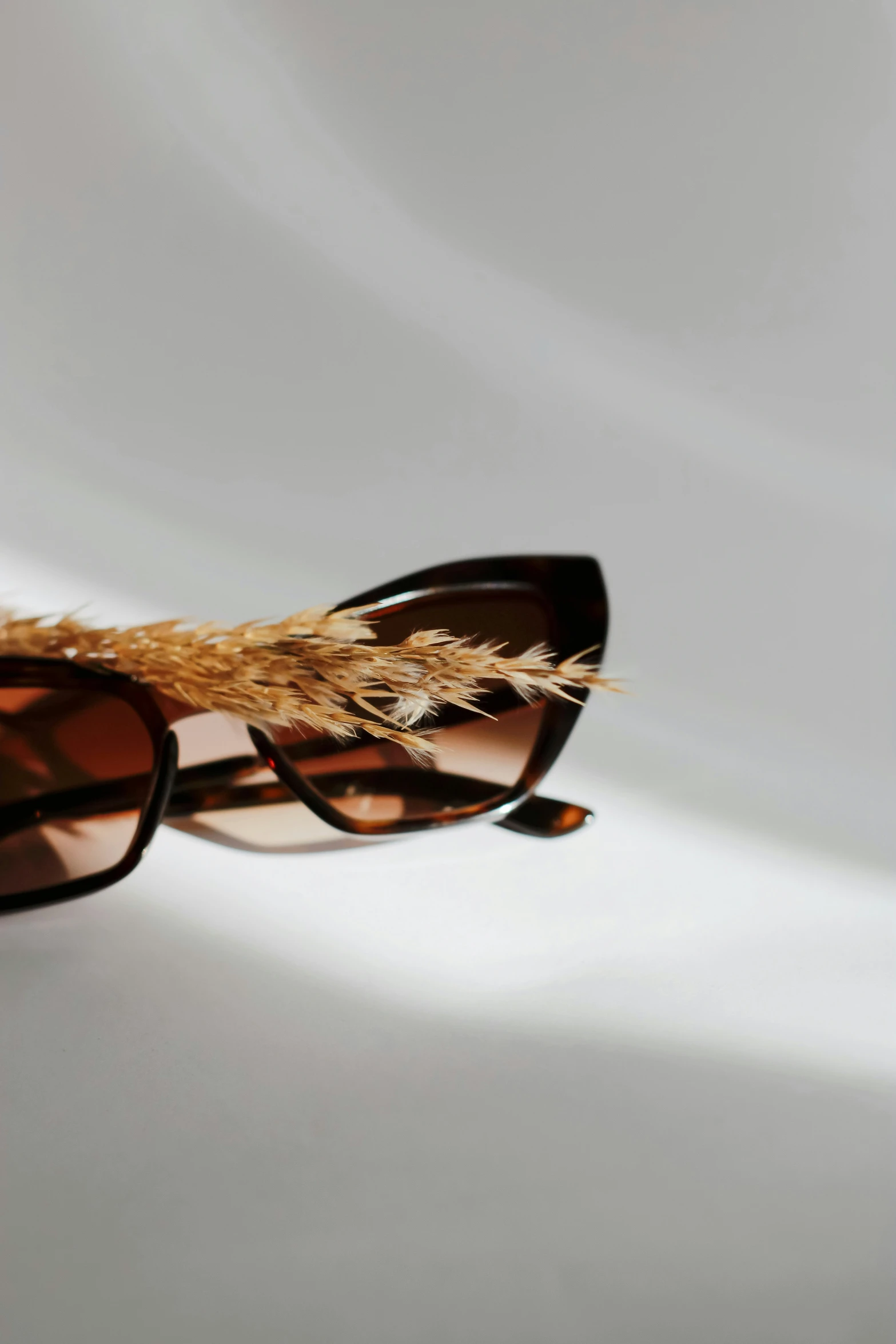 an animal - print pair of sunglasses sits on a white surface