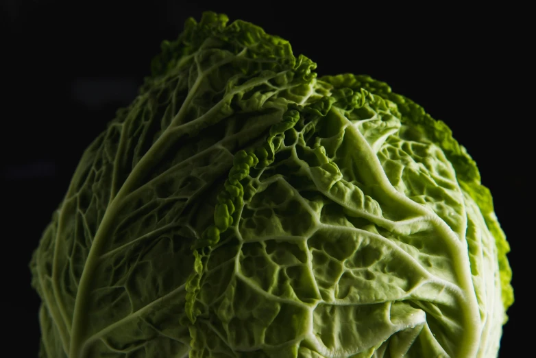 the head of lettuce in a dark, lit room