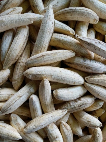 many small banana pods are shown in this po