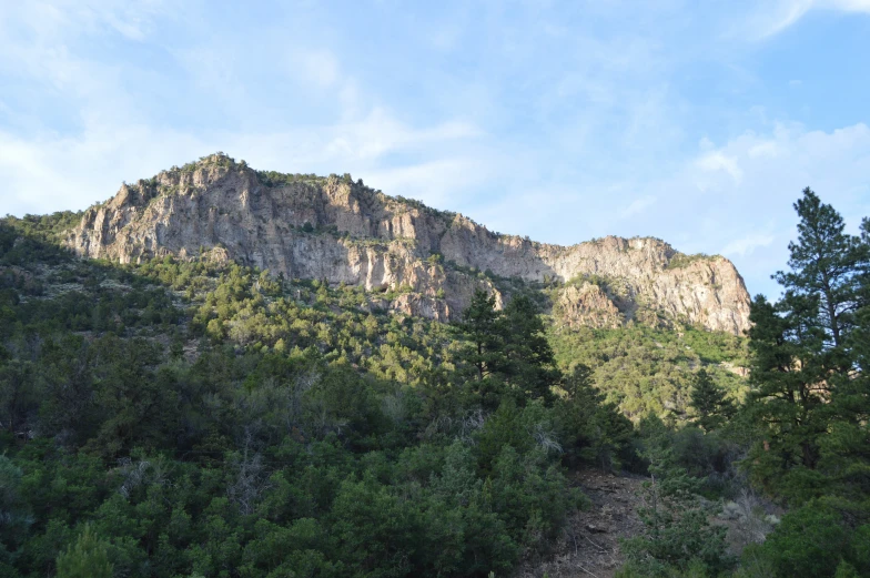 a wooded area below a large mountain on the side of a road