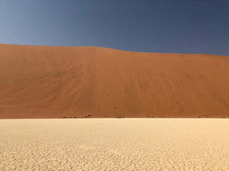 a ze standing alone in the middle of sand