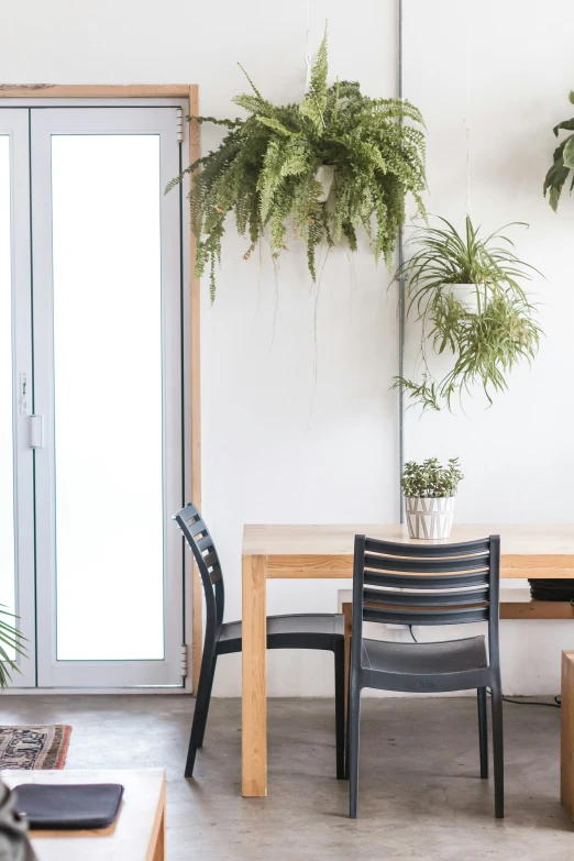 some houseplants are in front of a large table