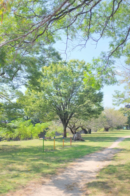 a dirt road surrounded by trees next to a grassy field