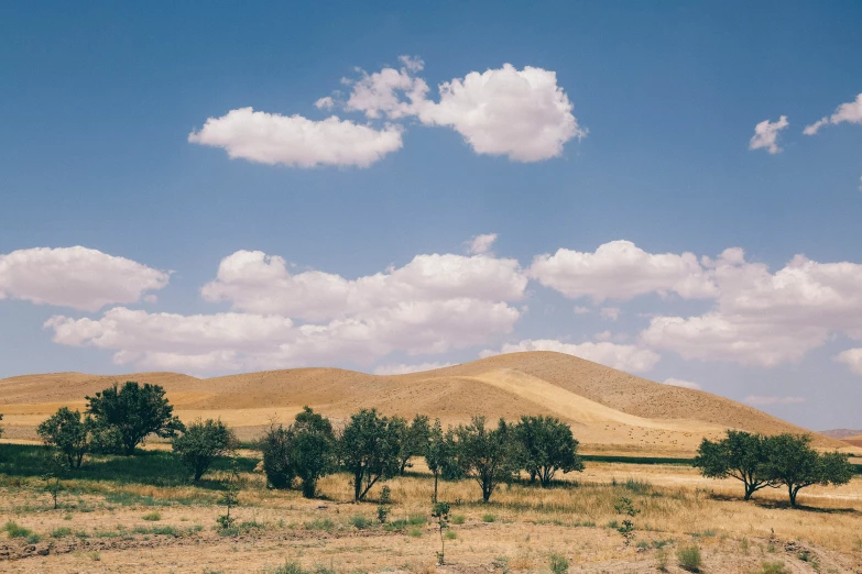 the large field has several trees along with mountains