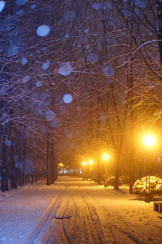 a snowy street with several lights in the background