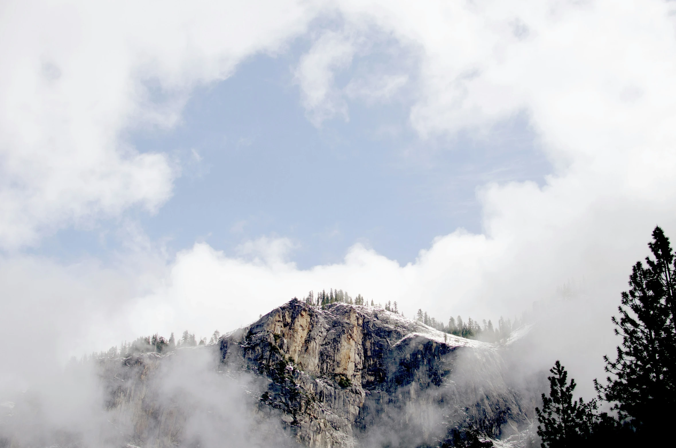 some trees and snow and a mountain in the background