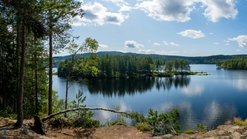 large lake surrounded by green pine trees and blue sky