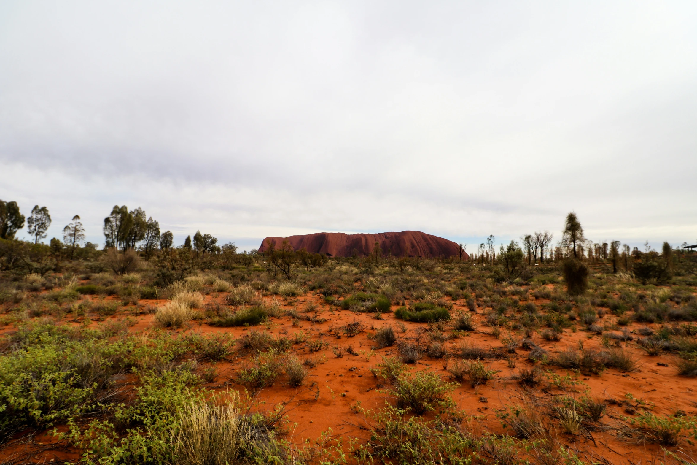 a wide view of the desert in australia