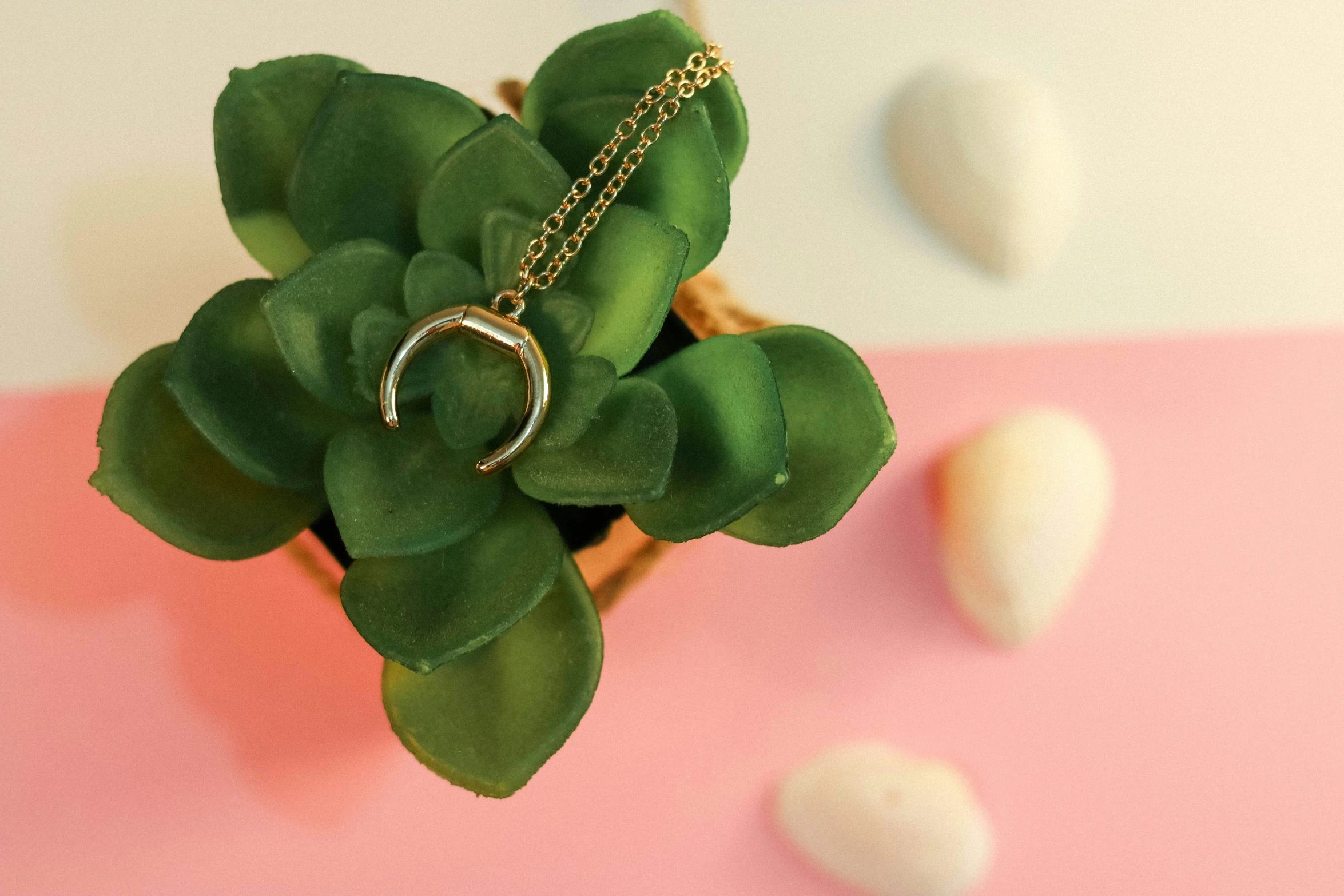 the necklace is hanging from the plant with a round charm on it