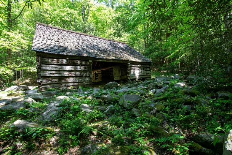 an old log cabin nestled in the forest