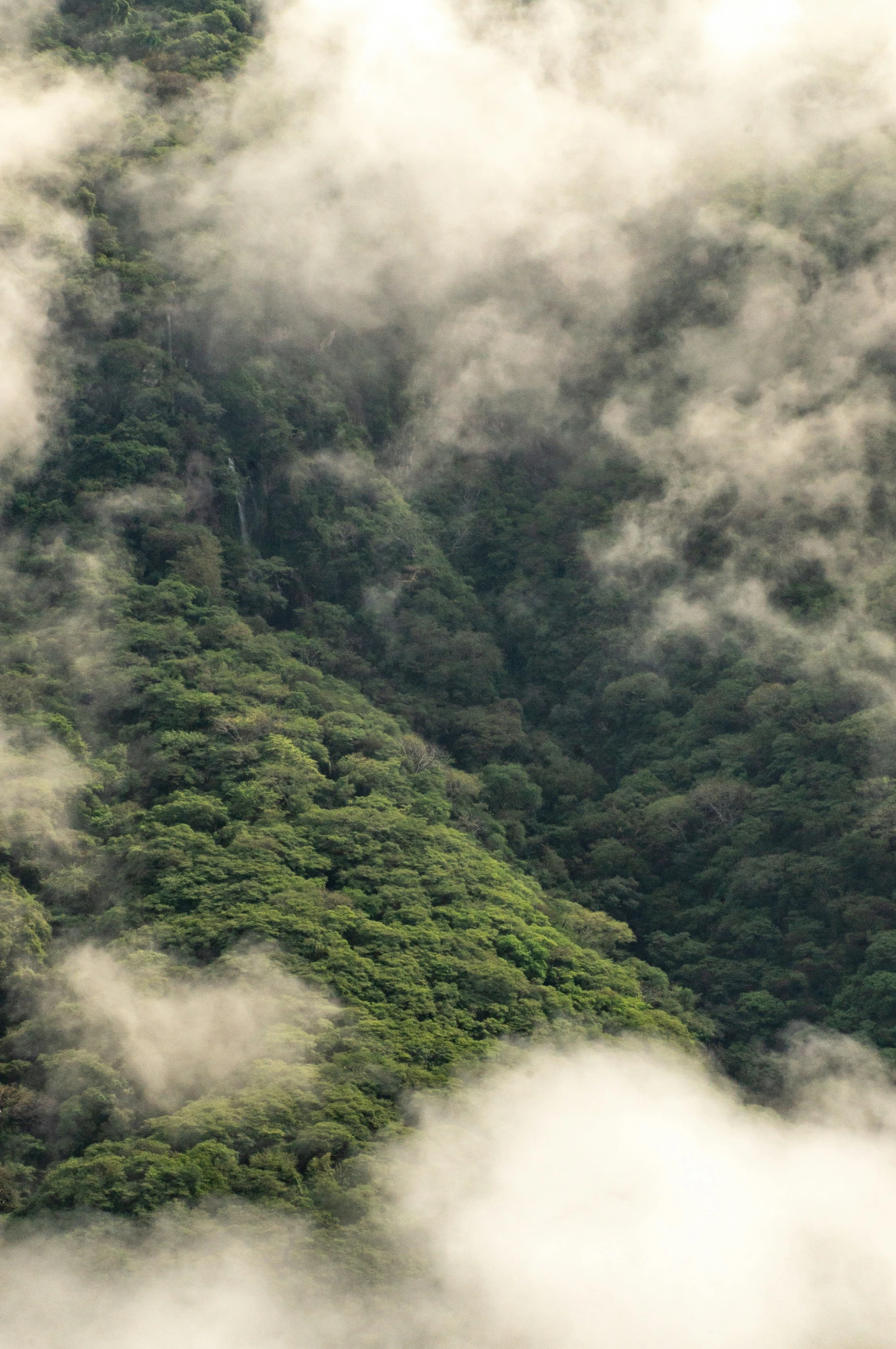 some fluffy, green hills covered in clouds