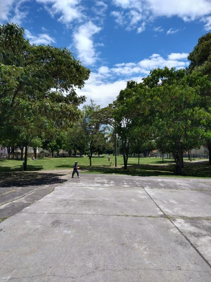 person skateboarding on cement in large open area with trees