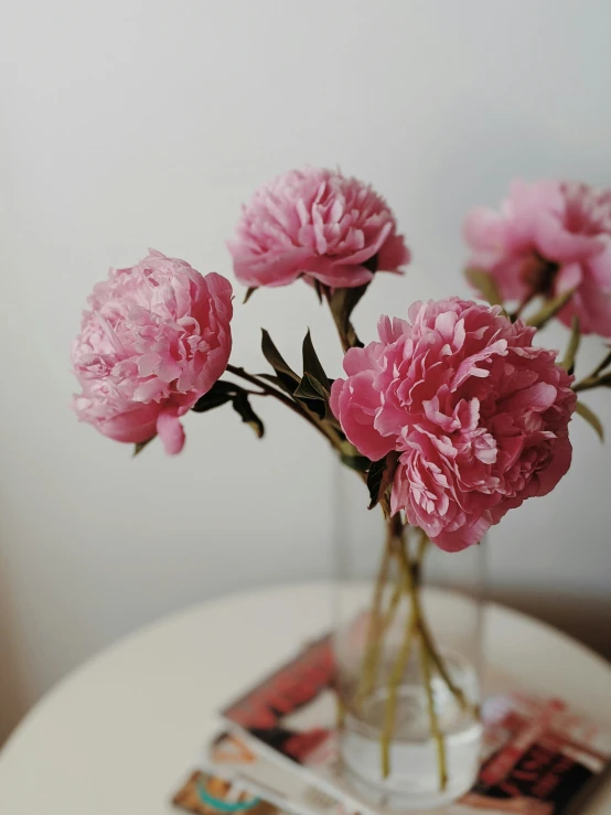 three pink carnations are in a glass vase