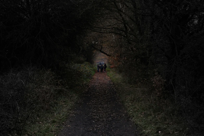 two people walking in the woods on a trail