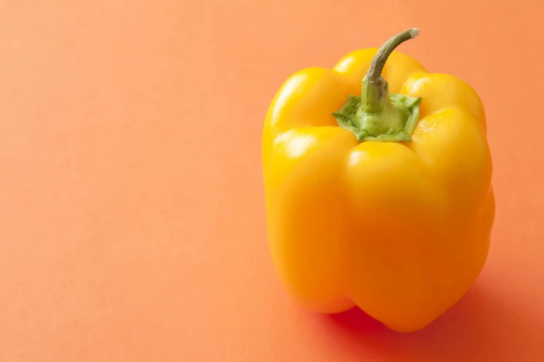 a pepper is on a bright orange background