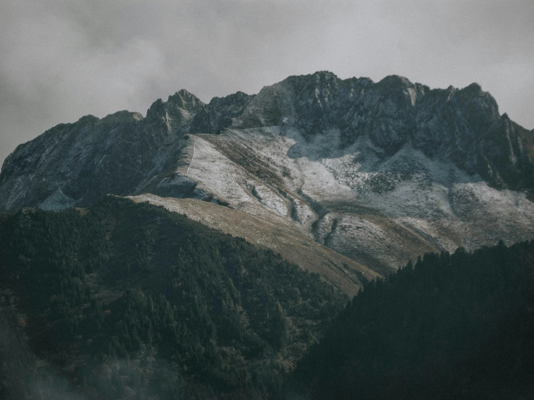 the mountains are covered with thick vegetation and snow