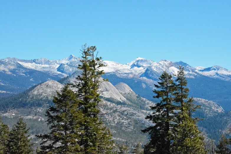 some trees snow mountains and a few clouds