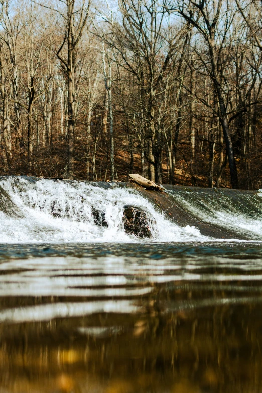 a man surfing a river in the woods