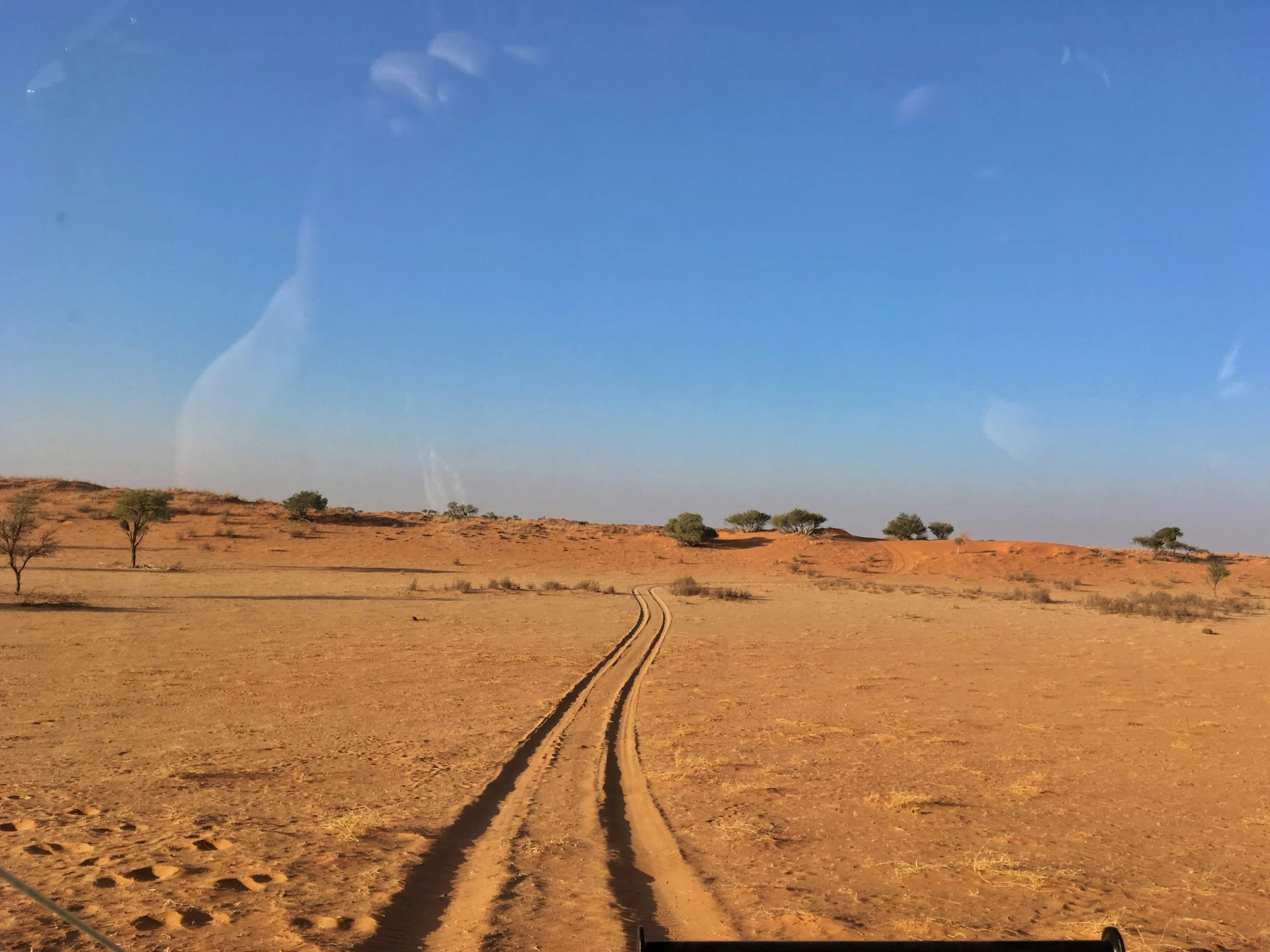 the po shows a barren area with footprints and trees