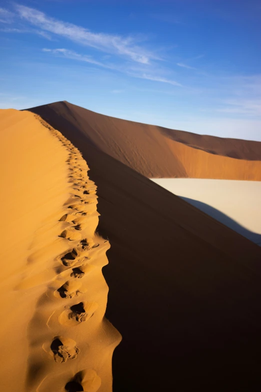 several footprints can be seen along a trail in the desert