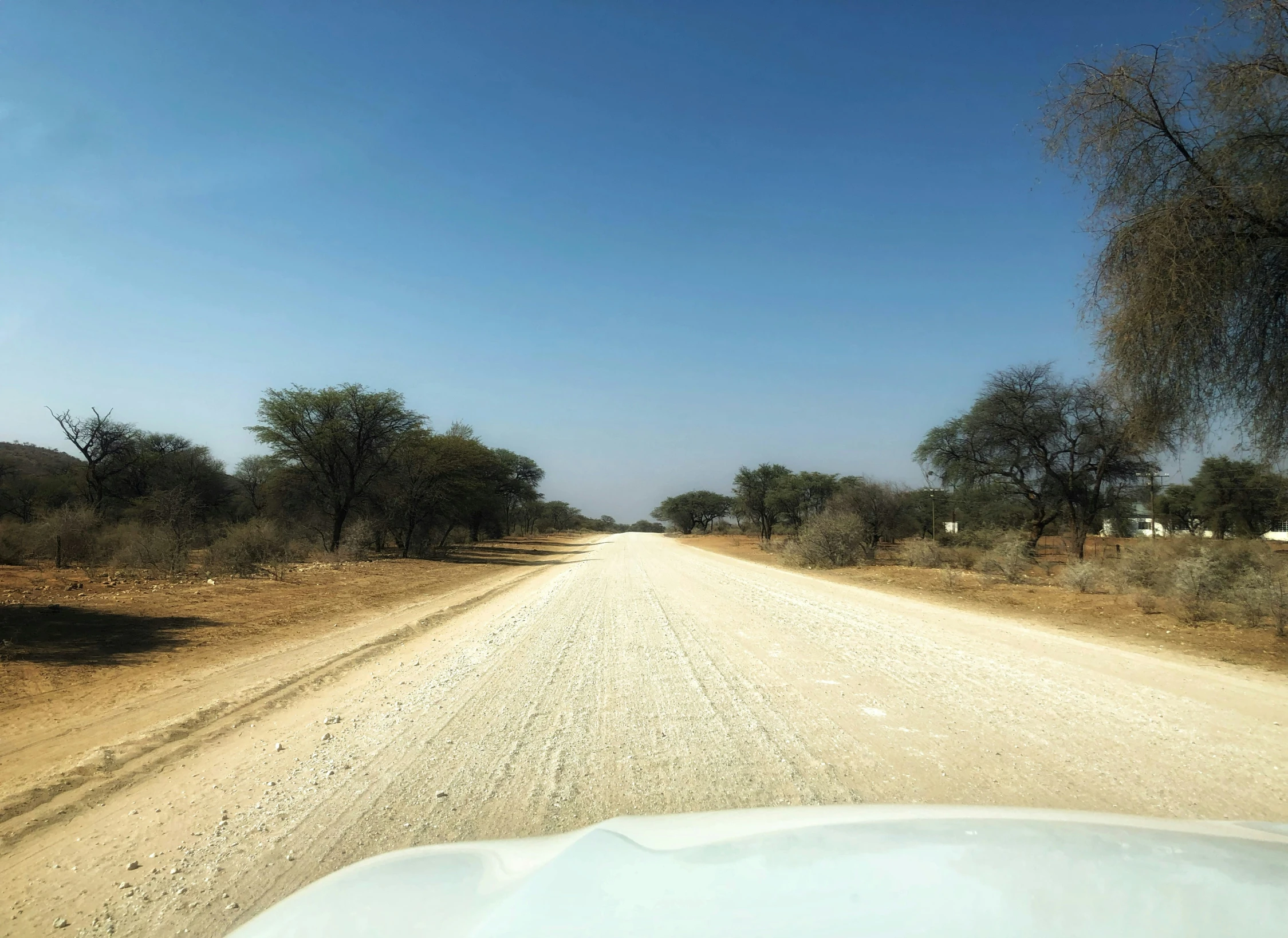 a small road with trees on both sides