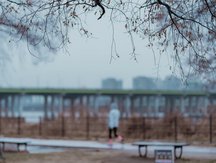 two park benches under a tree by the river