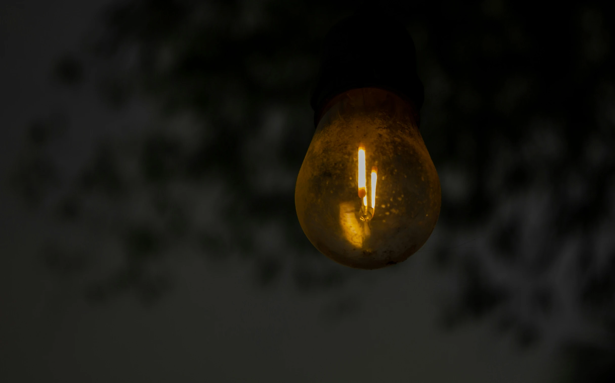 an old light bulb hanging from a tree at night