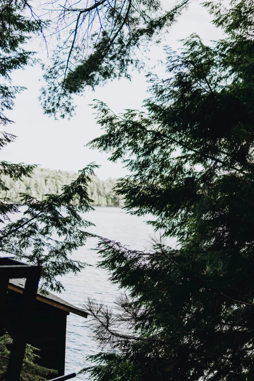 a small bird perches on a bridge near a body of water