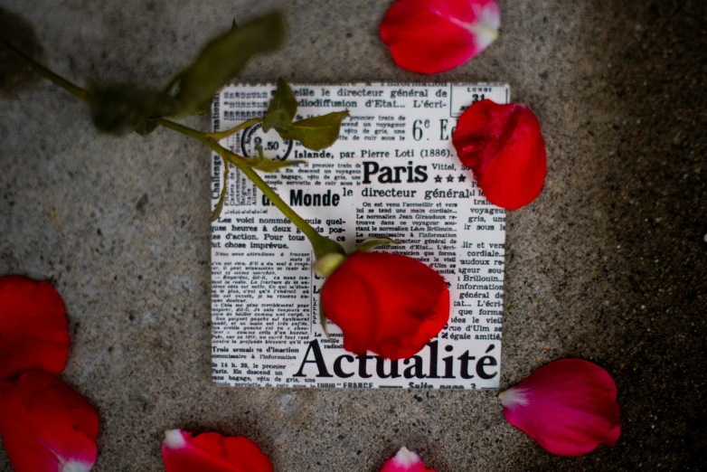 red flowers placed around a newspaper with the word'paris '