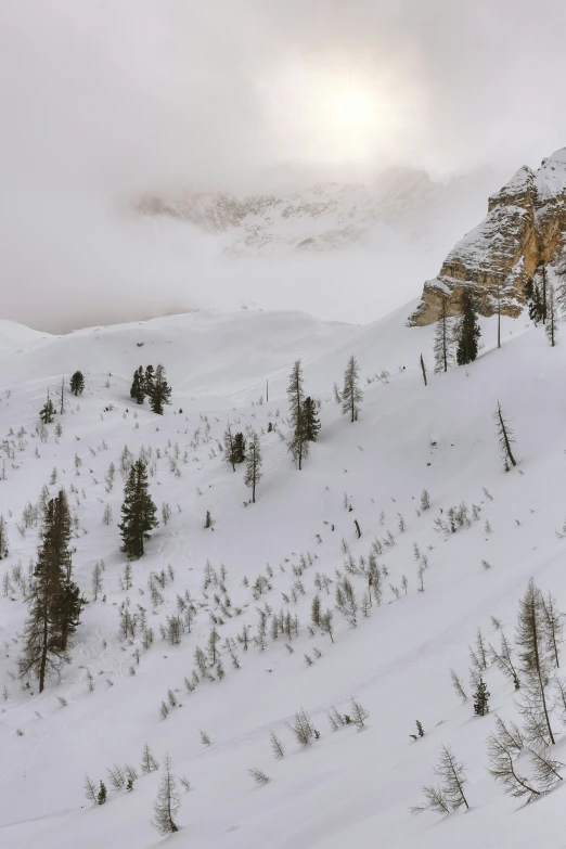 a hillside covered in snow near mountains and trees