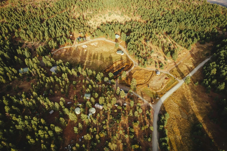 a country road through the forest in an aerial view