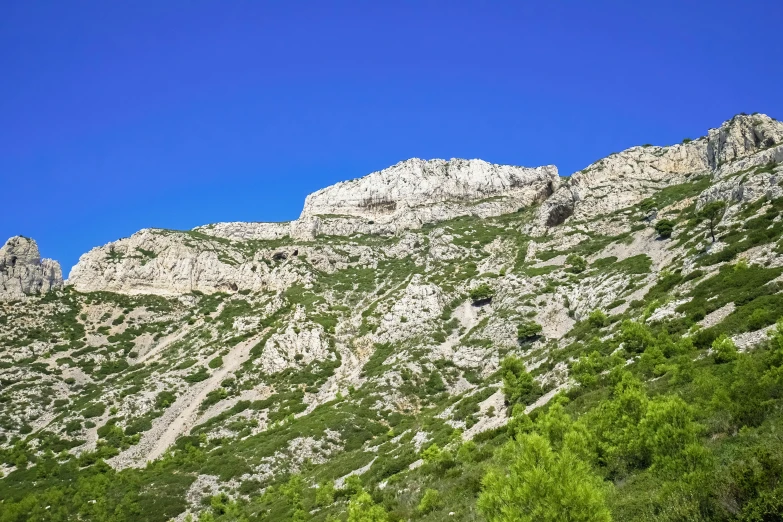 a hillside with some rocks and trees on it