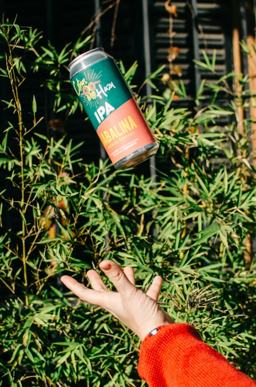 a woman reaching up to touch a can