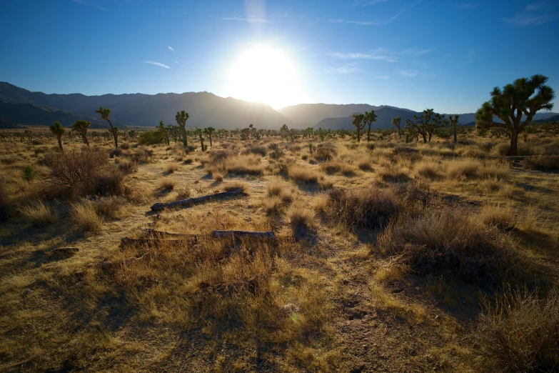 a desert with a sun setting behind the mountains